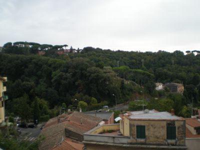 ea_P9080085_JPG_318043674