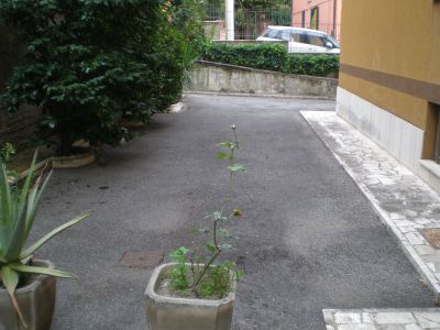 ea_P9080086_JPG_267101745