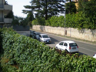 ea_P6100075_JPG